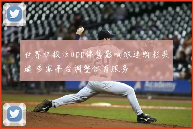 世界杯投注app停售影响球迷购彩渠道 多家平台调整体育服务