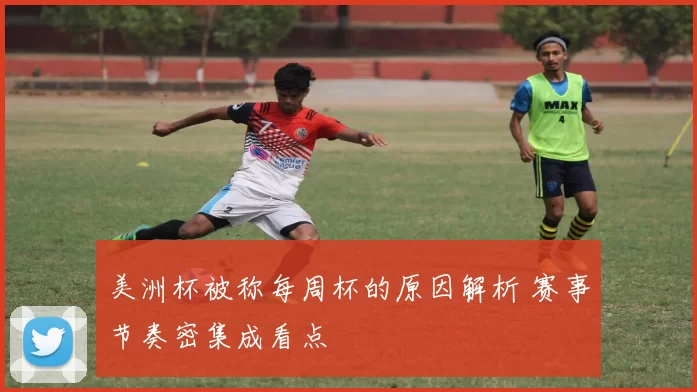 美洲杯被称每周杯的原因解析 赛事节奏密集成看点