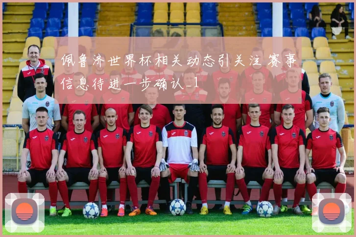 佩鲁济世界杯相关动态引关注 赛事信息待进一步确认_1